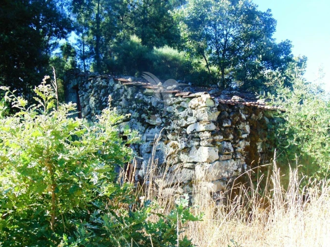 Terreno para Venda em Vilar de Maçada Foto 24