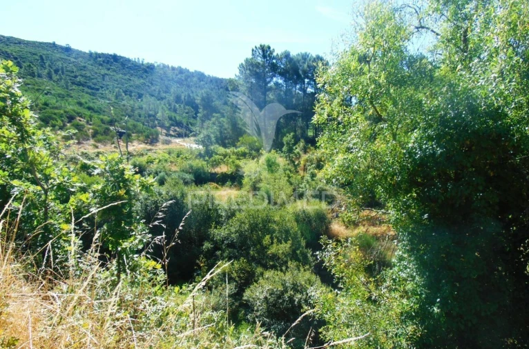 Terreno para Venda em Vilar de Maçada Foto 19