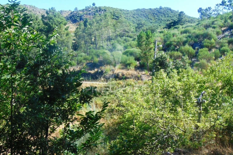 Terreno para Venda em Vilar de Maçada Foto 11