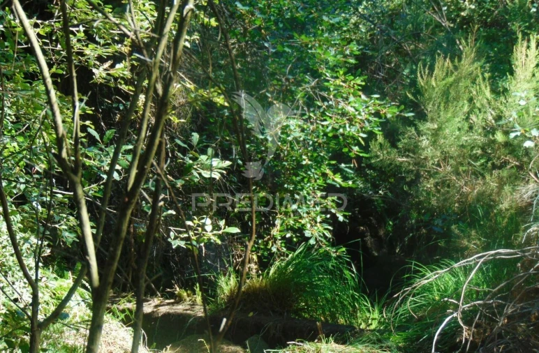 Terreno para Venda em Vilar de Maçada Foto 7