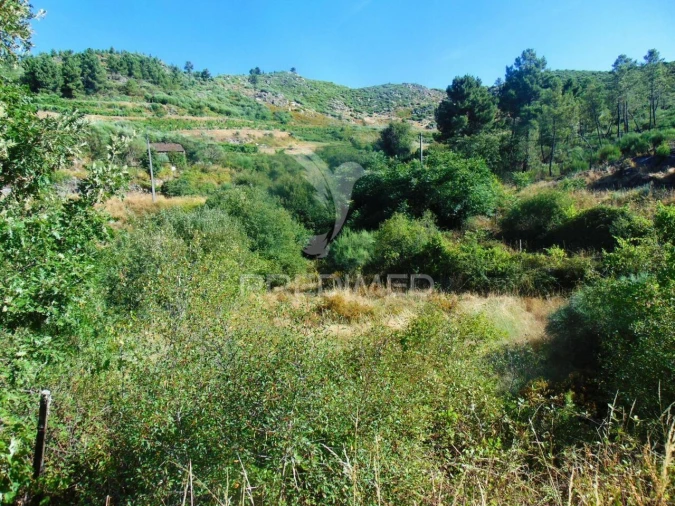 Terreno para Venda em Vilar de Maçada Foto 9