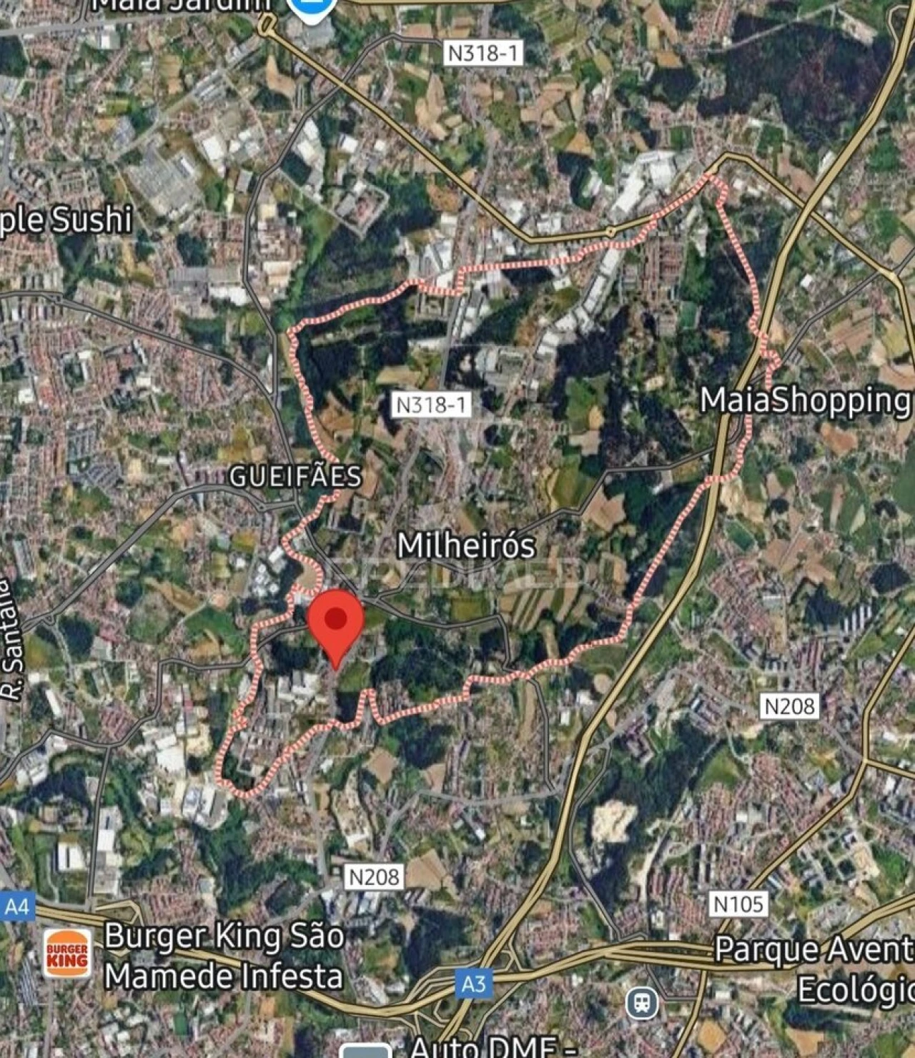 Terreno para Venda em Milheiros Foto 4