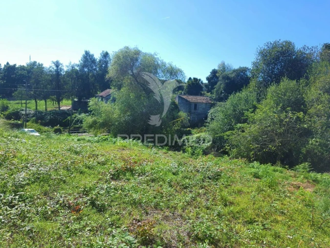 Terreno para Venda em Milheiros Foto 3