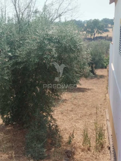 Terreno para Venda em Urra