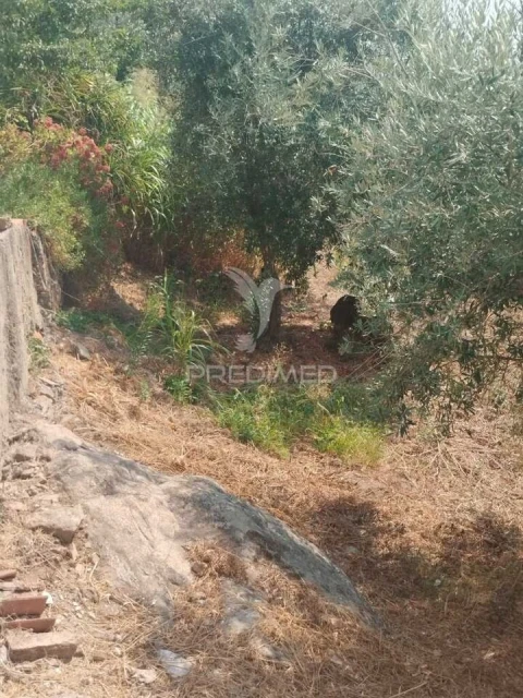 Terreno para Venda em Urra