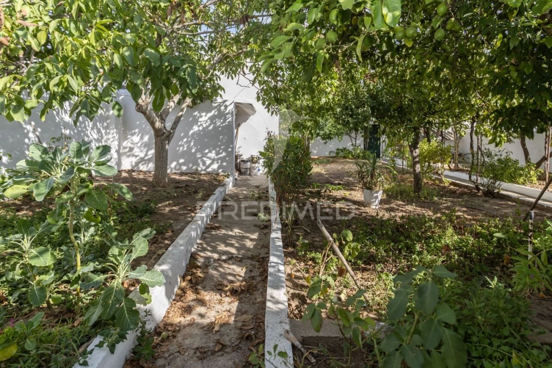 Moradia T3 para Venda em Torrão Foto 28