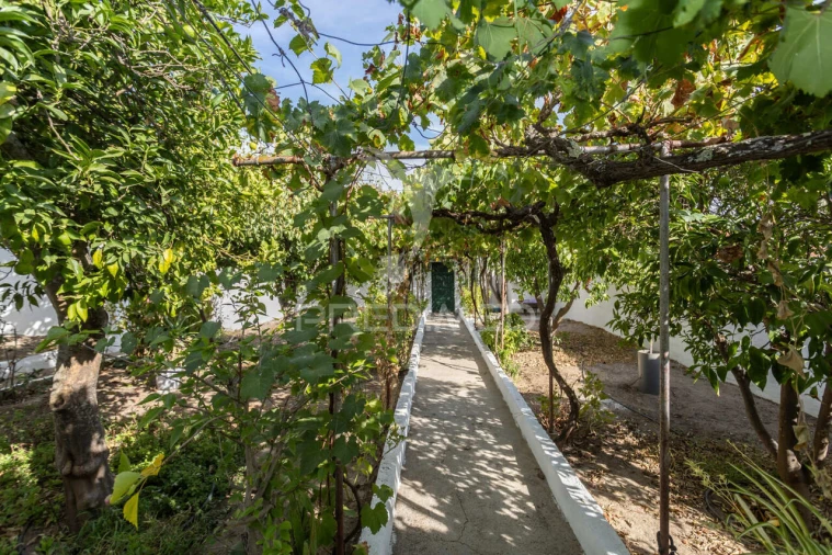 Moradia T3 para Venda em Torrão Foto 29