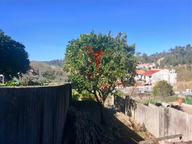 Moradia T2 para Venda em Amiais de Baixo Foto 24