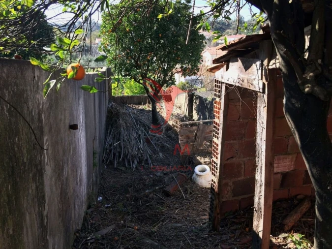 Moradia T2 para Venda em Amiais de Baixo Foto 9