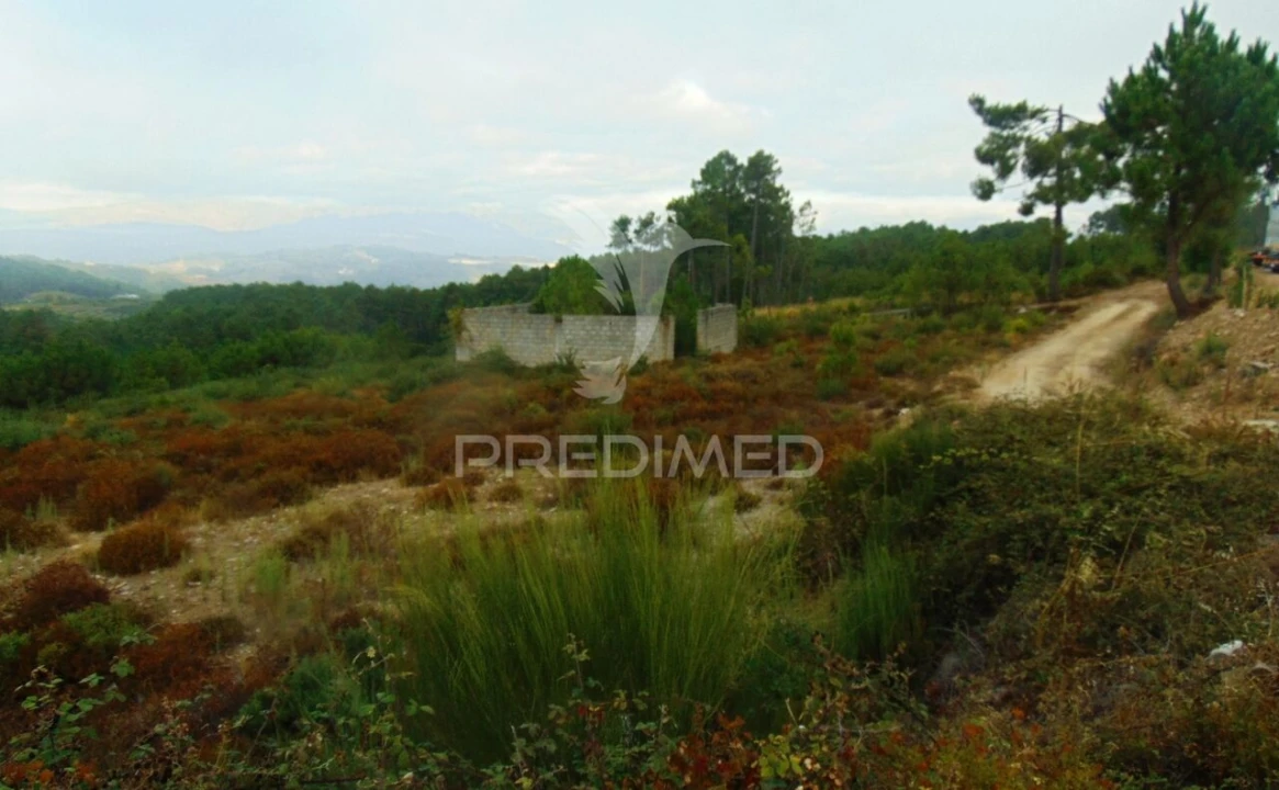 Terreno para Venda em Abaças Foto 6