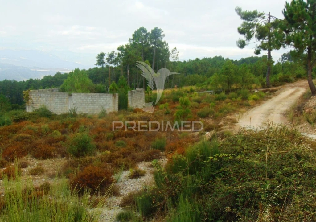 Terreno para Venda em Abaças Foto 2