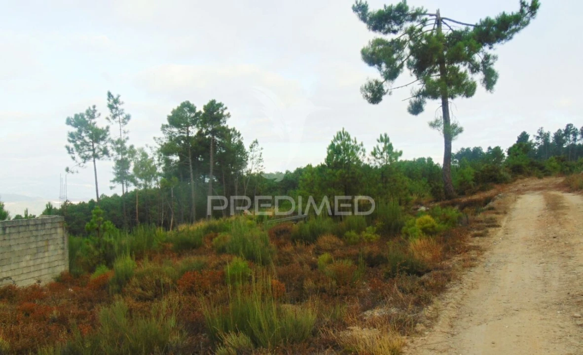 Terreno para Venda em Abaças Foto 4