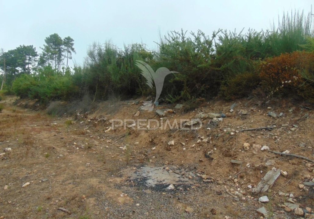 Terreno para Venda em Abaças Foto 10