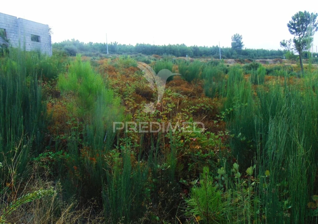 Terreno para Venda em Abaças Foto 11