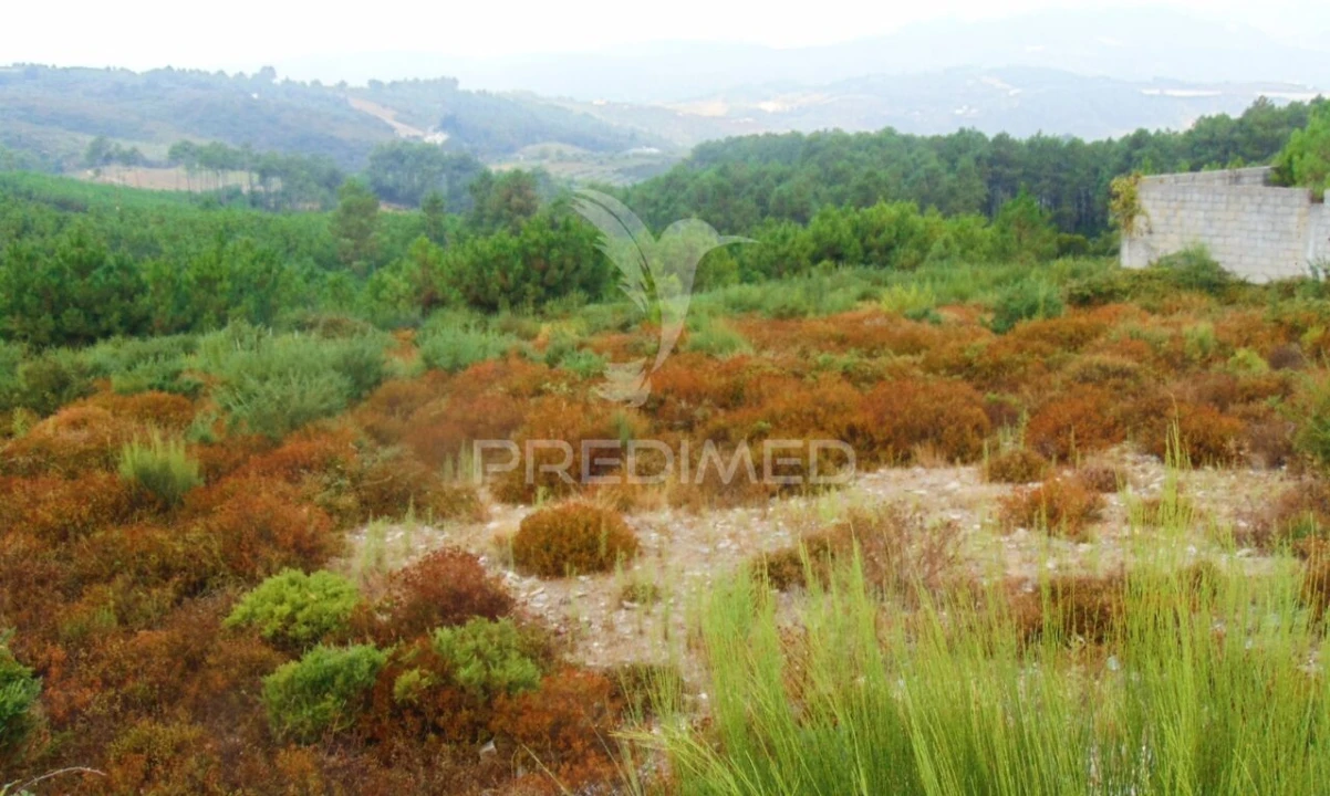 Terreno para Venda em Abaças Foto 9