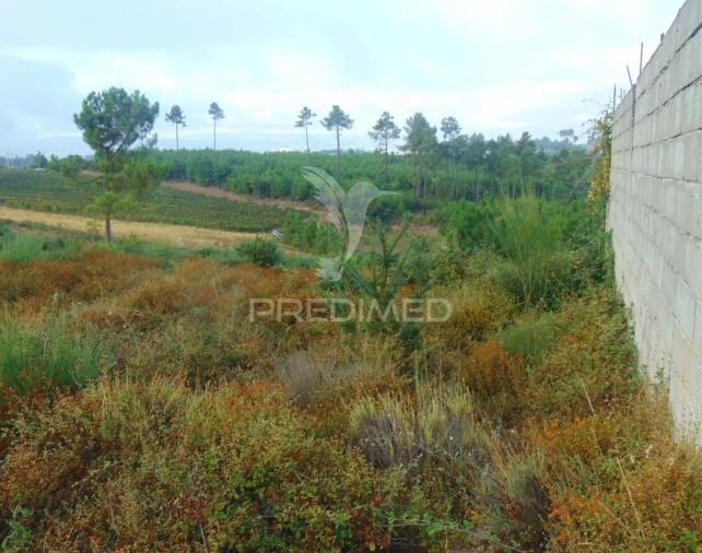 Terreno para Venda em Abaças Foto 12