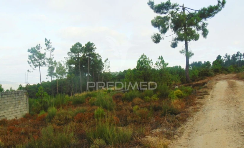 Terreno para Venda em Abaças Foto 4