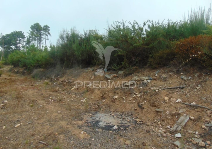 Terreno para Venda em Abaças Foto 10