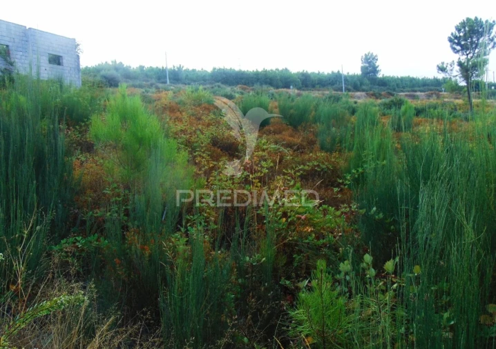 Terreno para Venda em Abaças Foto 11