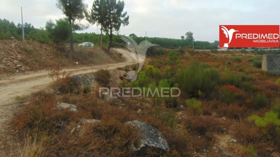 Terreno para Venda em Abaças