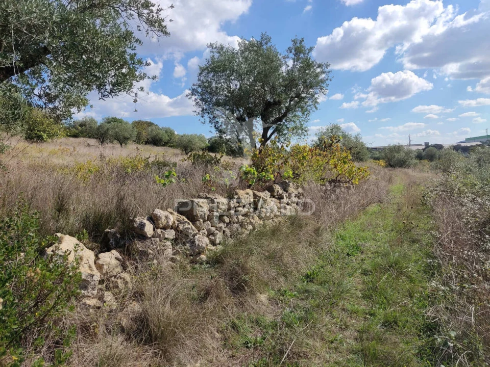 Terreno para Venda em Nossa Senhora das Misericordias Foto 4