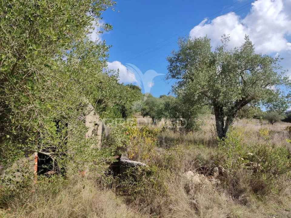 Terreno para Venda em Nossa Senhora das Misericordias Foto 2