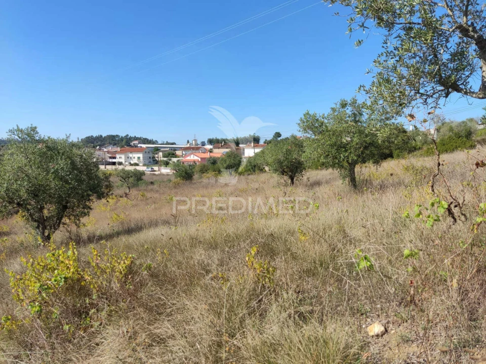Terreno para Venda em Nossa Senhora das Misericordias Foto 7