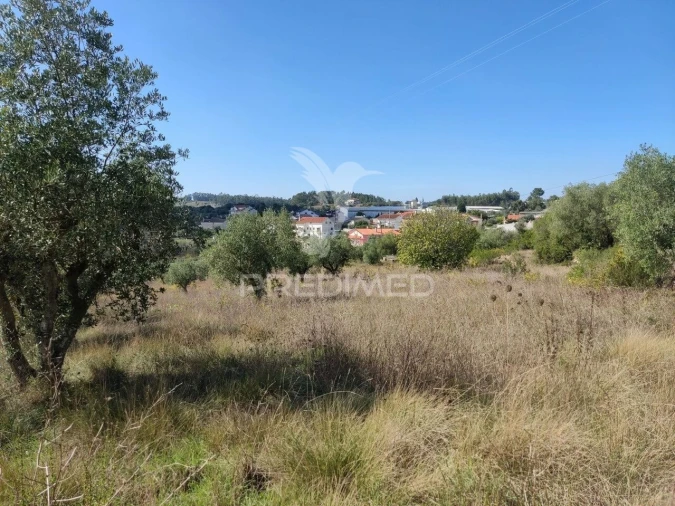 Terreno para Venda em Nossa Senhora das Misericordias Foto 5