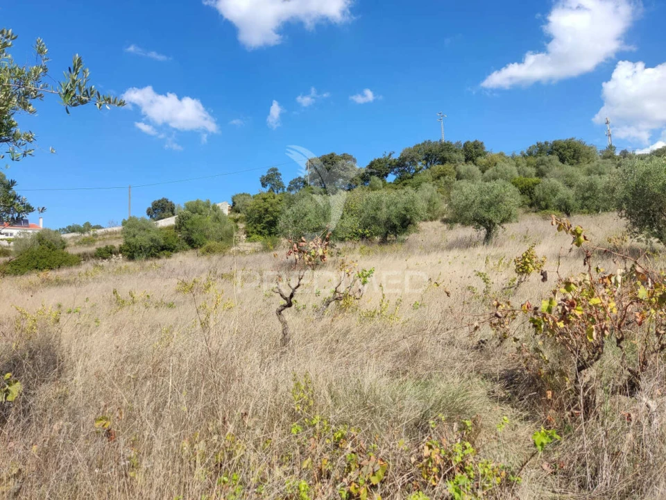 Terreno para Venda em Nossa Senhora das Misericordias Foto 8