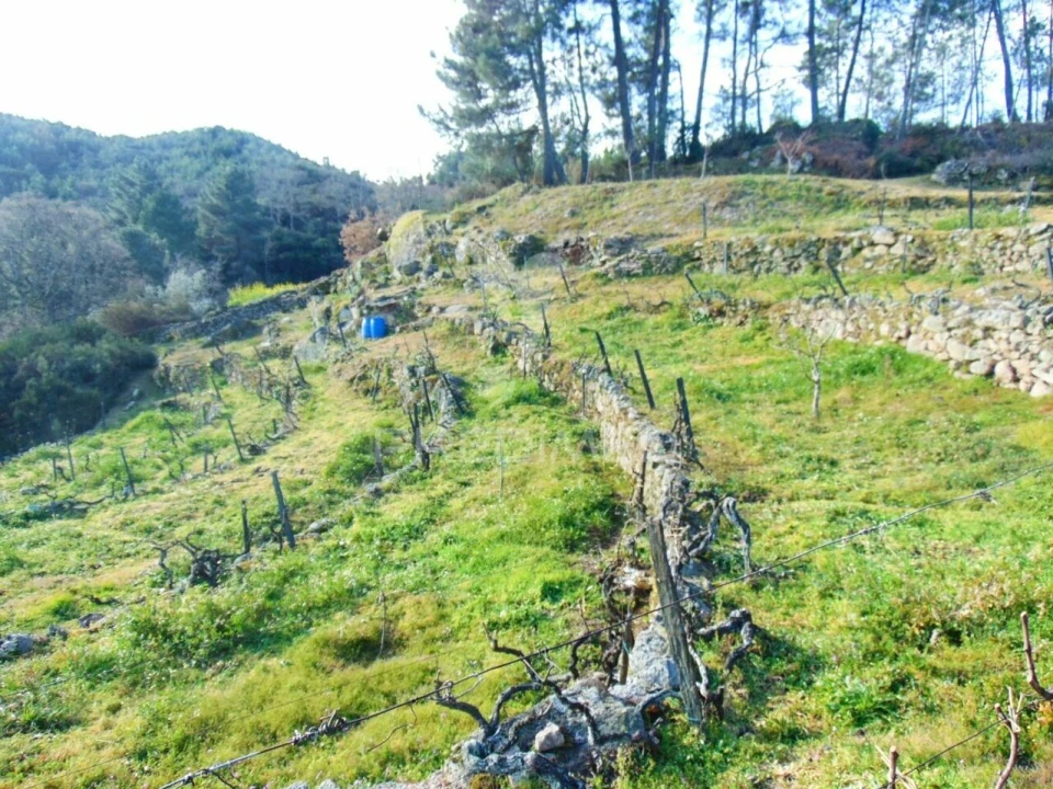 Terreno para Venda em Cumieira Foto 23