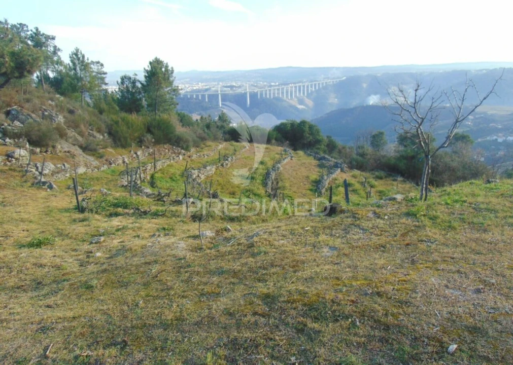 Terreno para Venda em Cumieira Foto 17