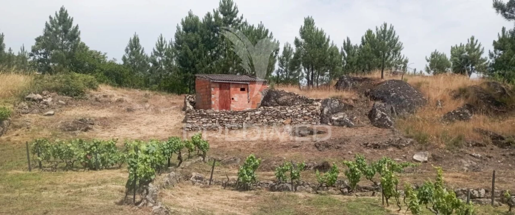 Terreno para Venda em Cumieira Foto 8