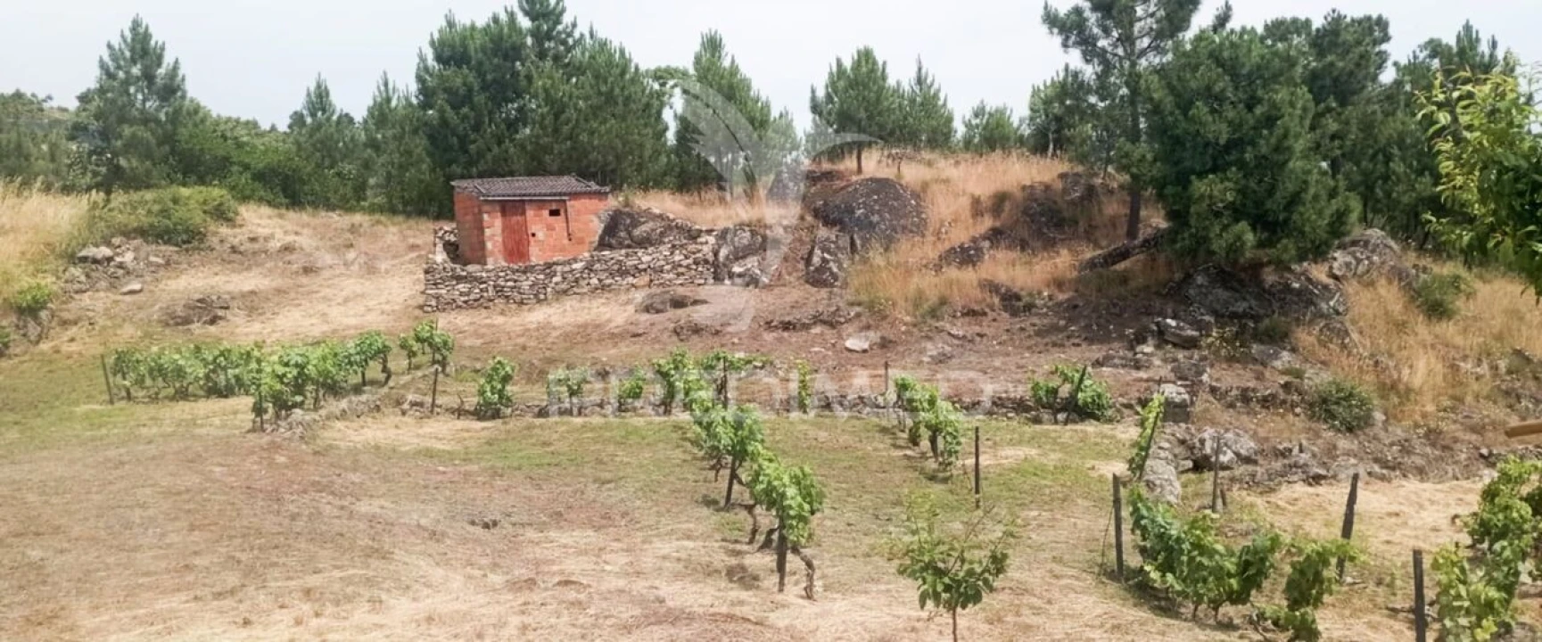 Terreno para Venda em Cumieira Foto 34