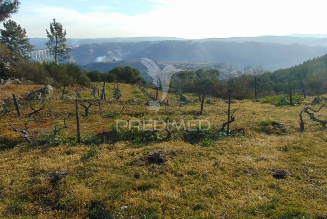 Terreno para Venda em Cumieira Foto 19