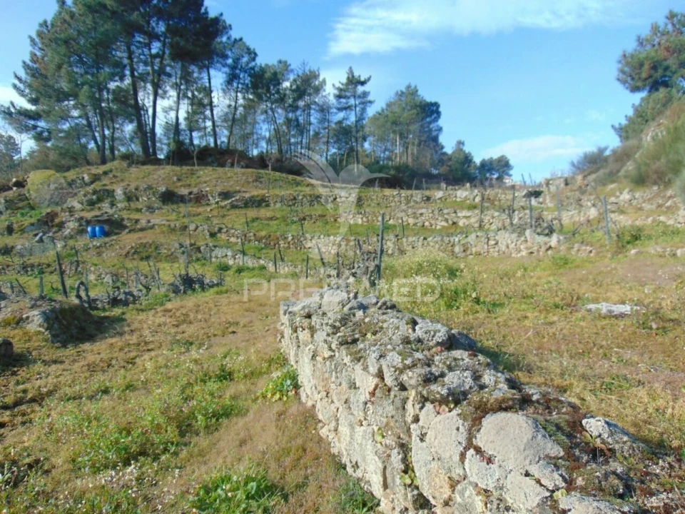 Terreno para Venda em Cumieira Foto 29