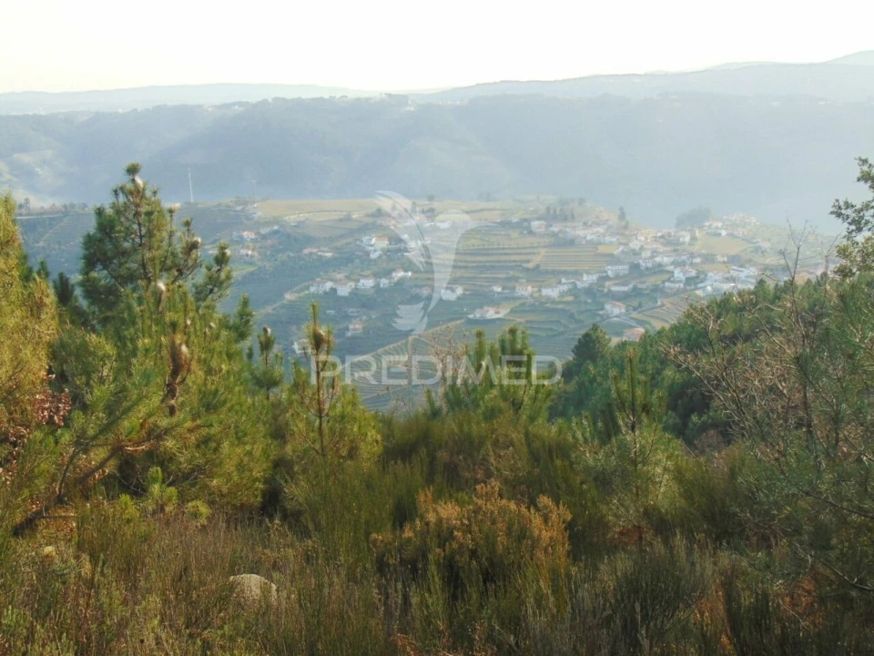 Terreno para Venda em Cumieira Foto 25