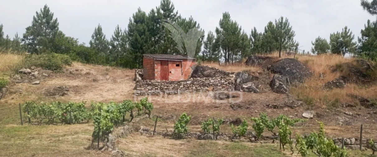 Terreno para Venda em Cumieira Foto 8