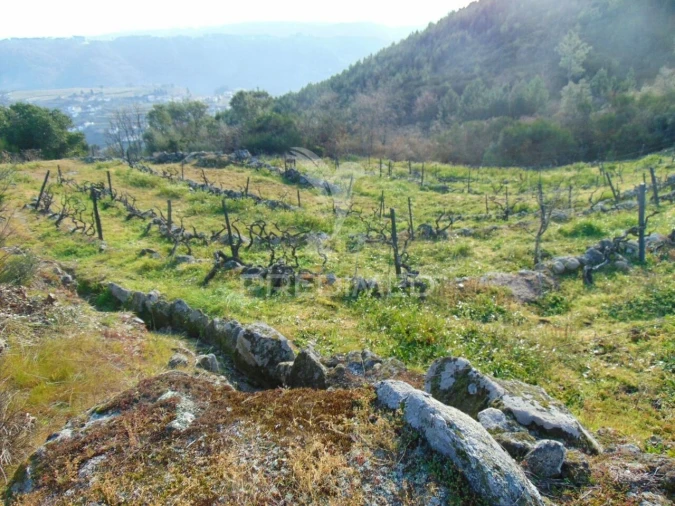 Terreno para Venda em Cumieira Foto 21