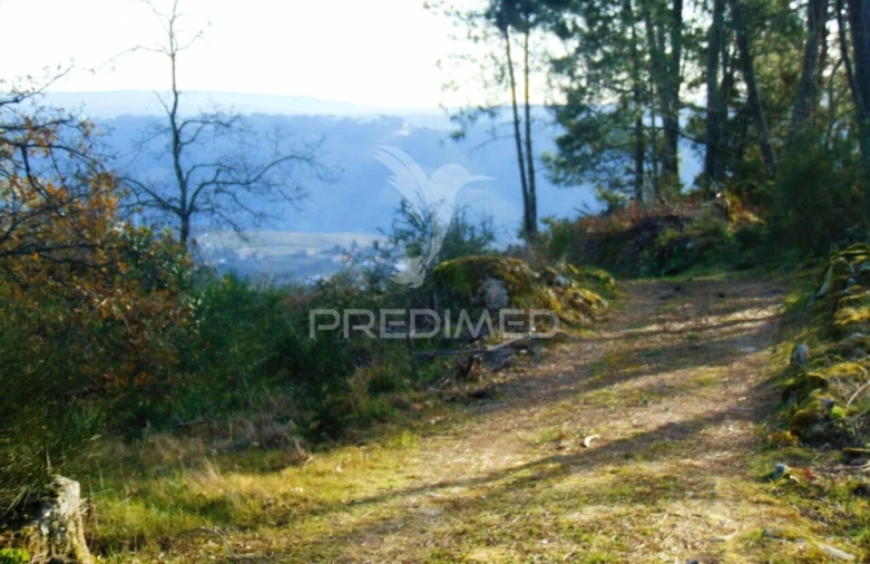 Terreno para Venda em Cumieira Foto 3