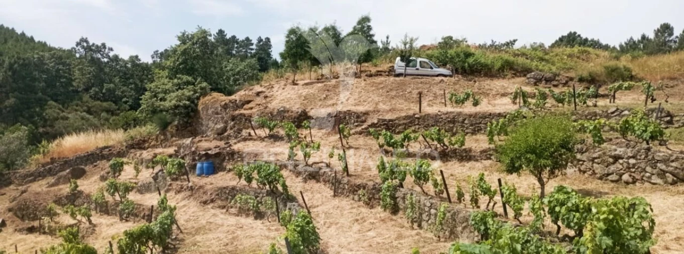Terreno para Venda em Cumieira Foto 36