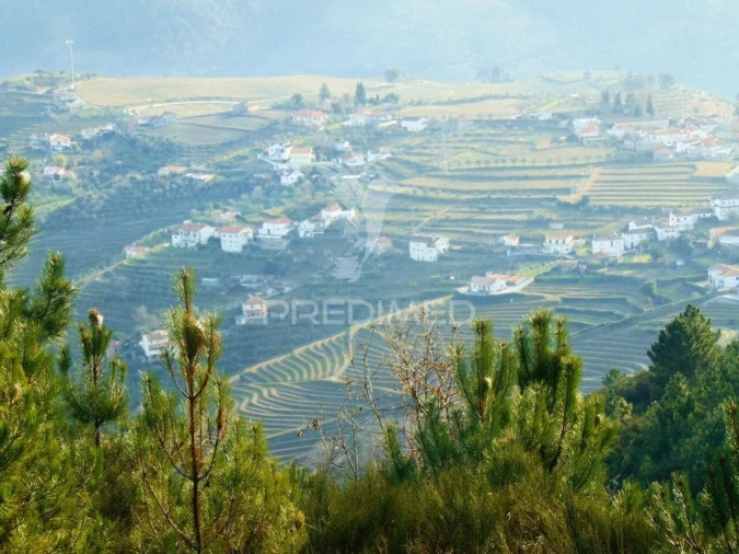 Terreno para Venda em Cumieira Foto 26