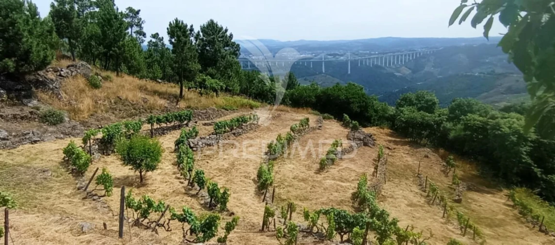 Terreno para Venda em Cumieira Foto 6