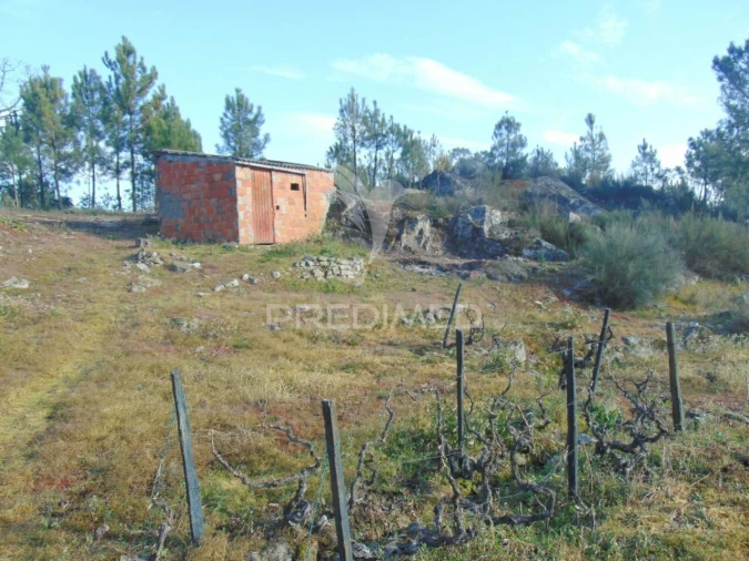 Terreno para Venda em Cumieira Foto 10