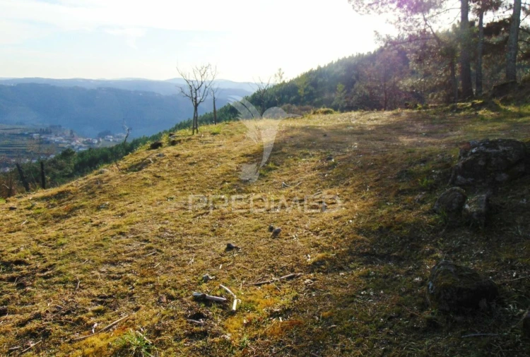Terreno para Venda em Cumieira Foto 38