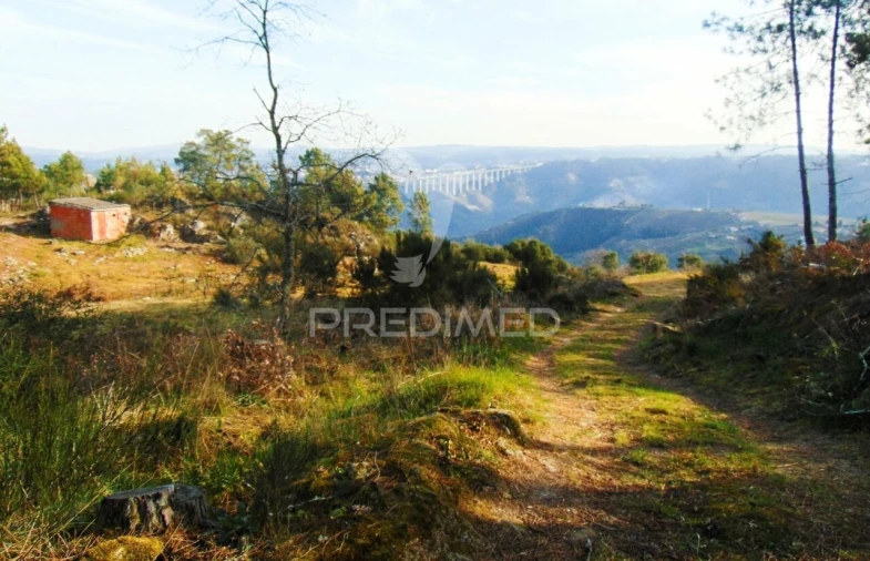 Terreno para Venda em Cumieira Foto 4