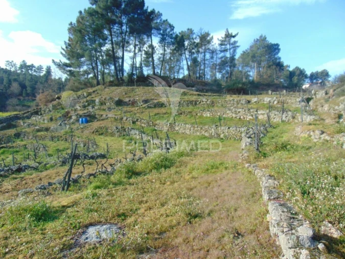 Terreno para Venda em Cumieira Foto 27