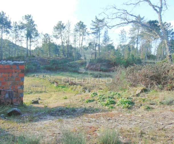 Terreno para Venda em Cumieira Foto 11