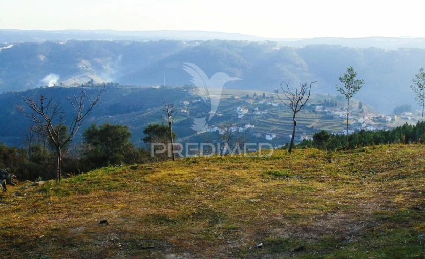 Terreno para Venda em Cumieira Foto 5