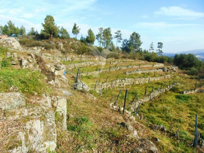 Terreno para Venda em Cumieira Foto 33