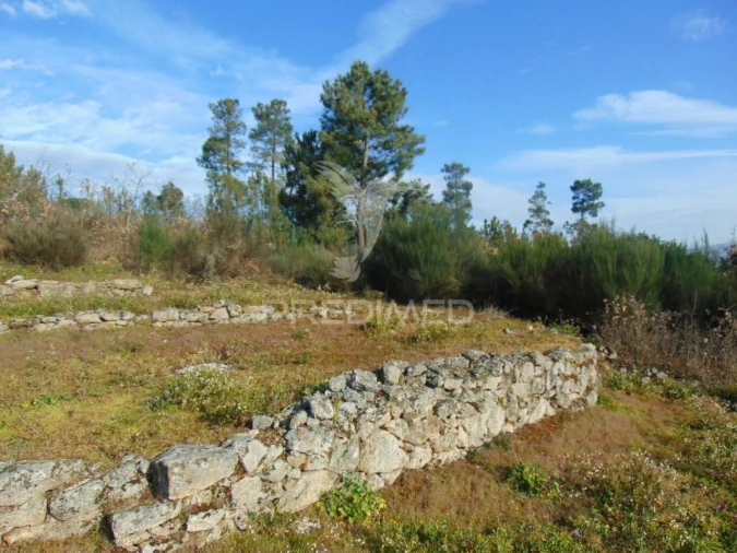 Terreno para Venda em Cumieira Foto 31